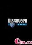 [Discovery]ʱ̸Ƽר_-ͼƬ